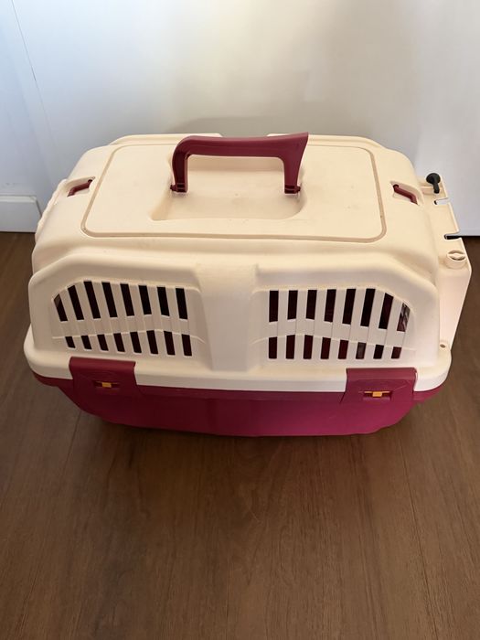 Caixa transporte gatos