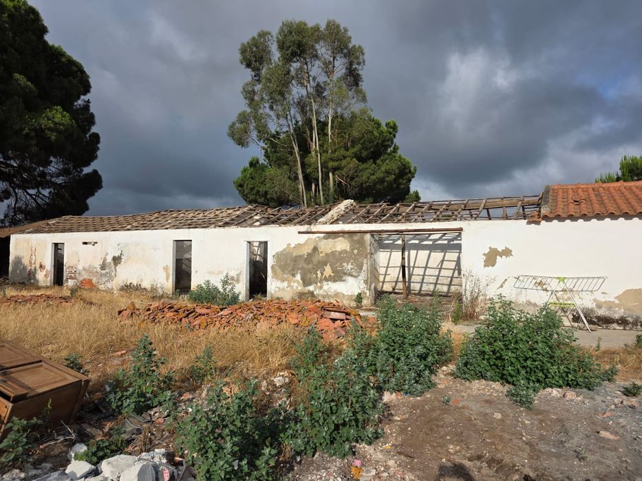 Base de vida em Grândola