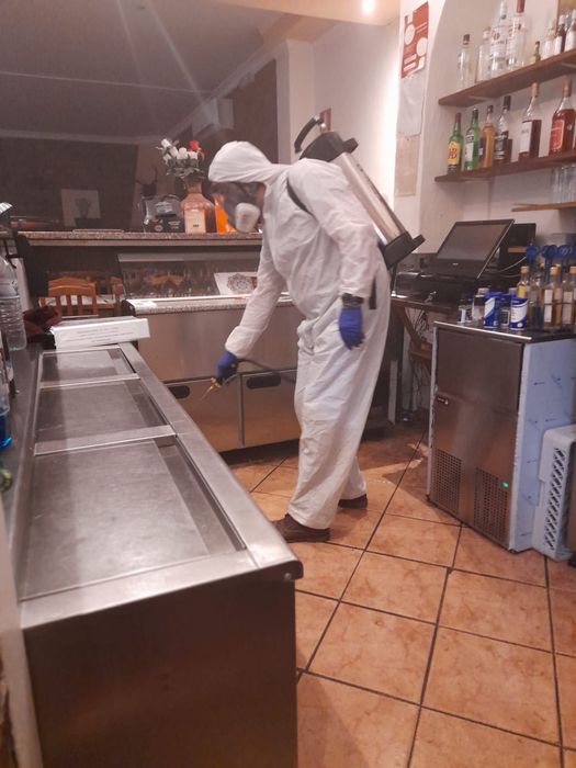 Controlo de Pragas e Desinfestações 24/7