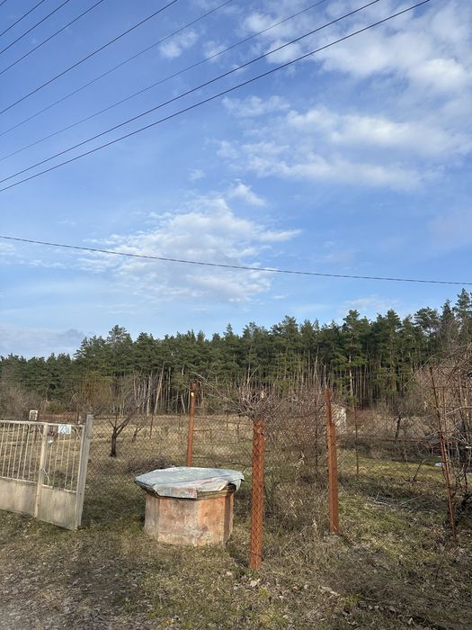 Продам земельну ділянку в Рачках коло лісу