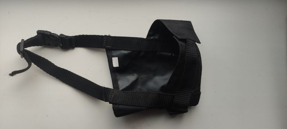 Намордник и ошейник