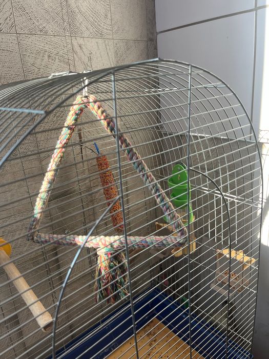 Клітка для папуги олх доставкою не відпраляю