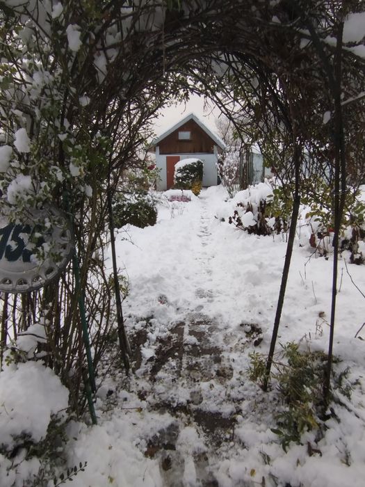 Działka ROD Aster Koszalin - Widok 4