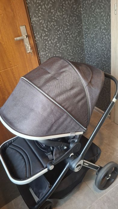 Spacerówka Kidnort Isbjörn