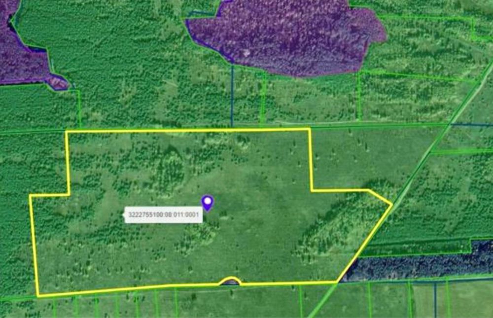 Земельна ділянка 78,7 Га !!! Фасівочка!