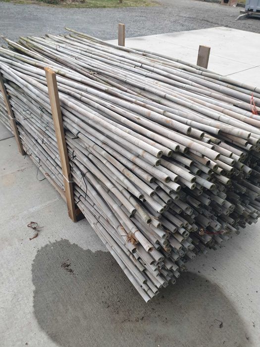 Bambusy z odzysku , sprzedam