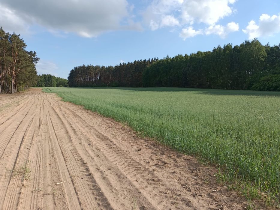 Sprzedam działkę budowlaną
