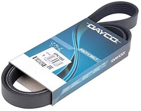 DAYCO 6PK1565 correia trapezoidal estriada NOVA