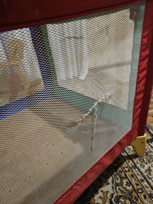 Parque infantil prenatal