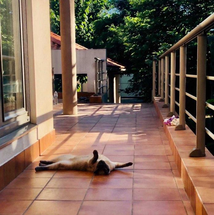 Дом с жилым подвалом 18 соток Свой парк 3 мастер спальни Б Фонтан