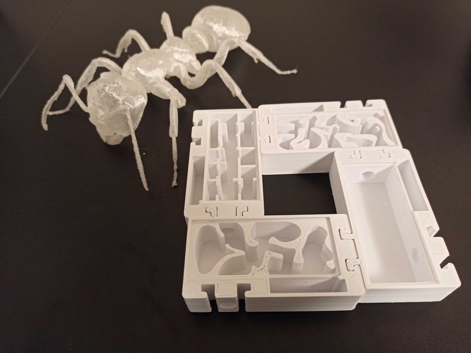 Segment "chamber" gniazda dla mrówek