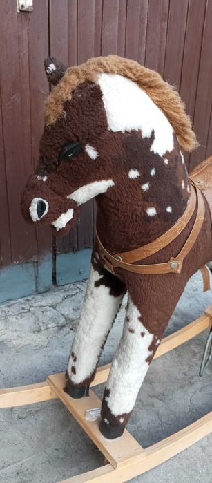 konik na biegunach