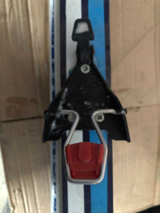 Бігові лижі, комплект Engadin Plenk ( Fischer )