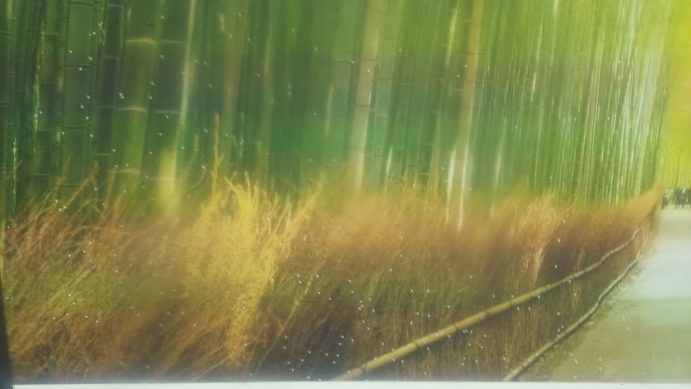 Projetores Benq mp772st