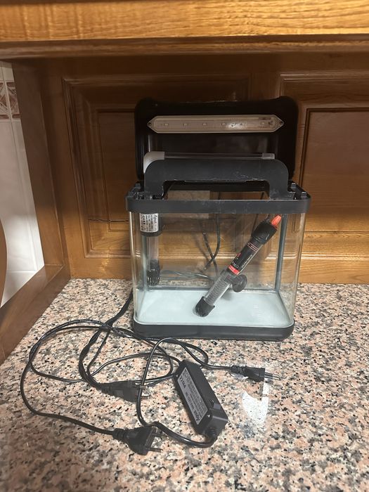 Aquário peixes com luz
