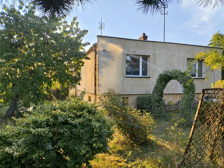 Wynajmę dom jednorodzinny - Zaryń, działka 25 arów.