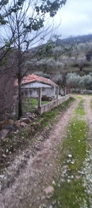 Casa de Aldeia no meio da Natureza