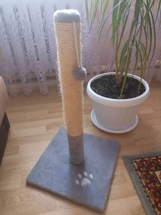 Коготочка в хорошому стані