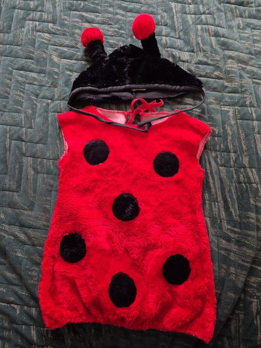 Strój na bal przebierańców Biedronka 1-2latka