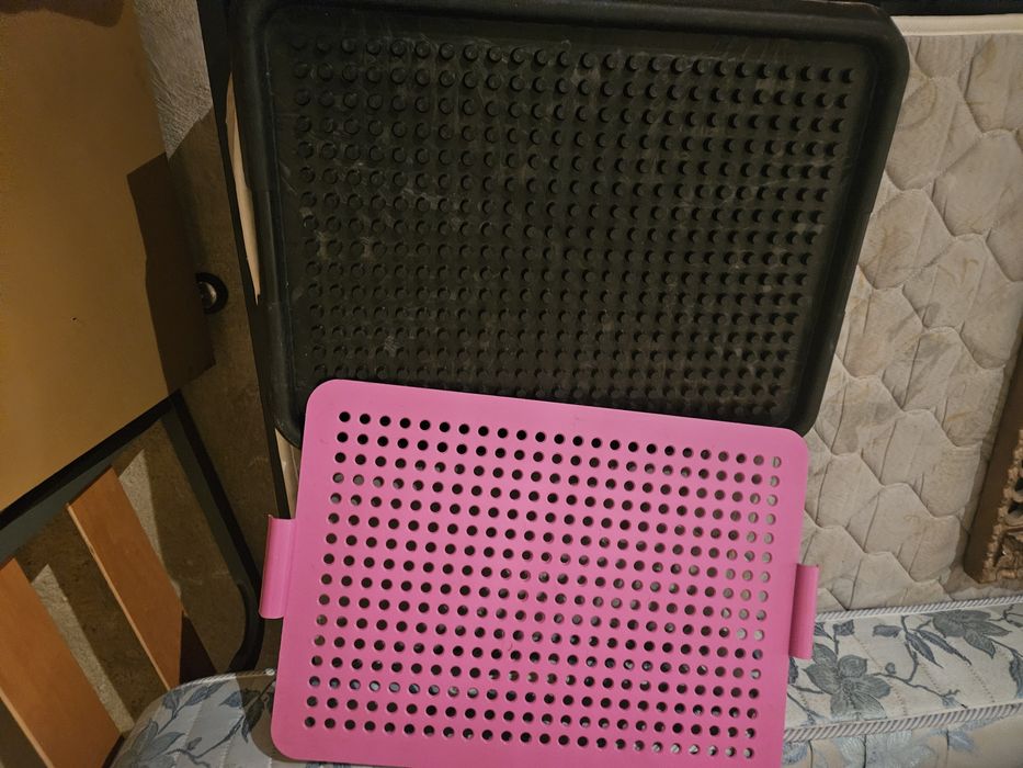 Vaso sanitário para cães