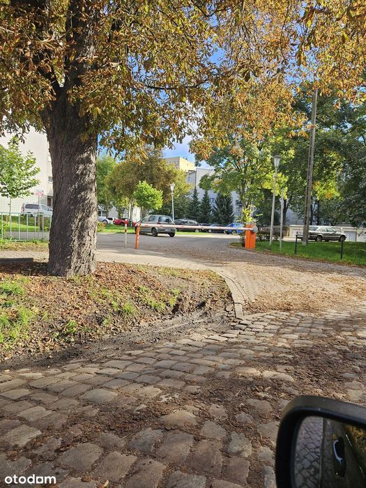 REZERWACJA Mieszkanie 2 pokojowe po remoncie na Sołaczu.