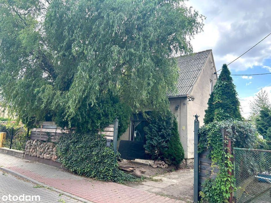 Dom Z 3 Niezależnymi Mieszkaniami / Działka Ok. 800 M²