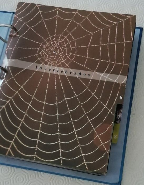 Coleção "O fascinante mundo animal"