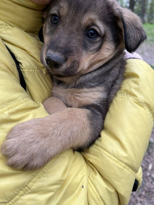 Подаруйте маленькому хлопчику дім