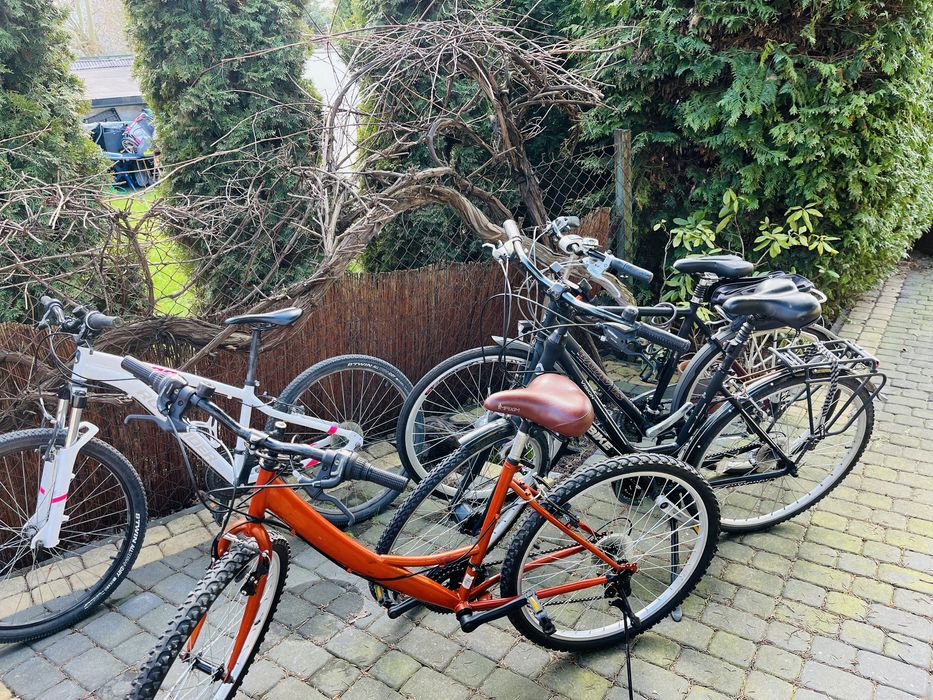 Wolny apartament 4 3 2 i 1 osobwy