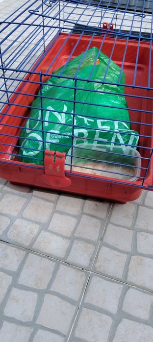 Gaiola para hamster como nova