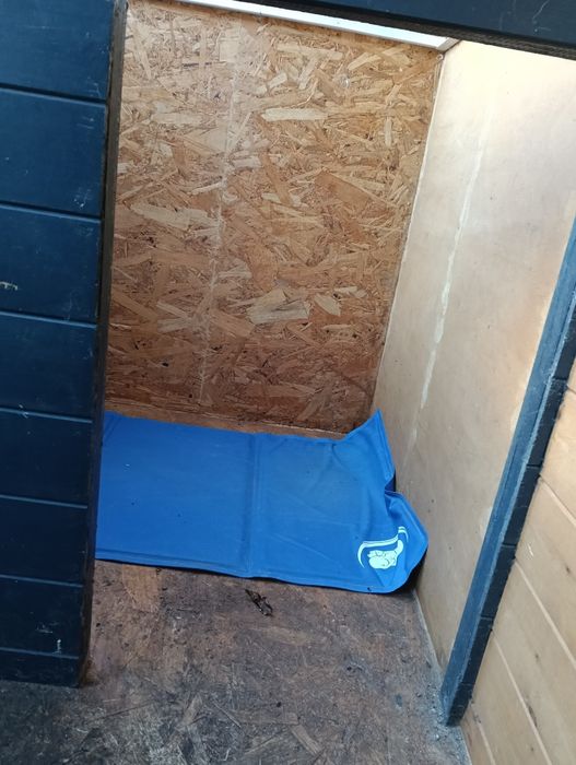 Casota para cão de madeira