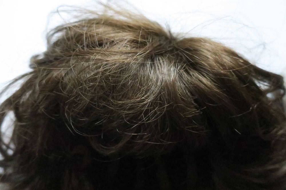 Nowa peruka Louis Ferre profesjonalna peruka