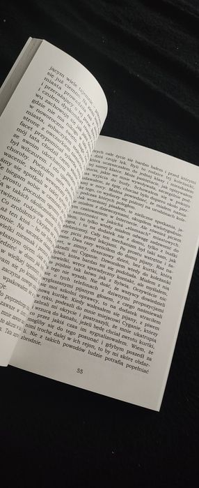 Książki borderline Labirynt duszy Rafał Mikus Millie the cat Jessie S.