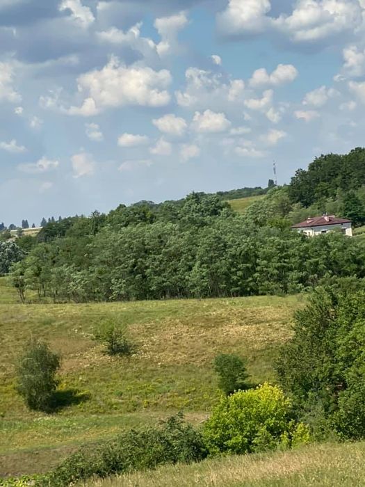 Ділянка 25 соток, с. Деревʼяна, м. Обухів 4 км, м. Київ 30 км - View 4