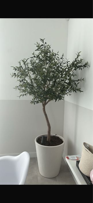 Linda oliveira realista