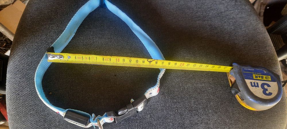 Ошийник для собак з підсвічуванням
