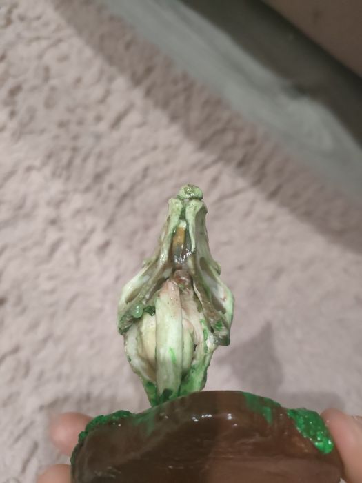 Figurka królik taksydermia taxidermy