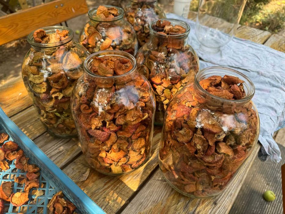 Яблоки сушеные, сушка яблоко груша, сухофрукты, компотная смесь, узвар