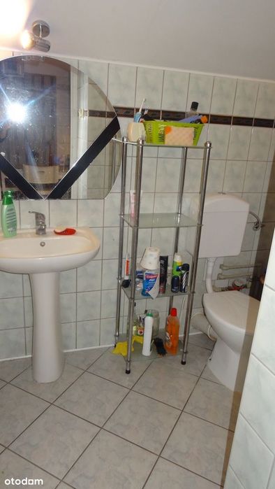 Studenci! Uczniowie! Ostatnie Pokoje Do Wynajęcia!