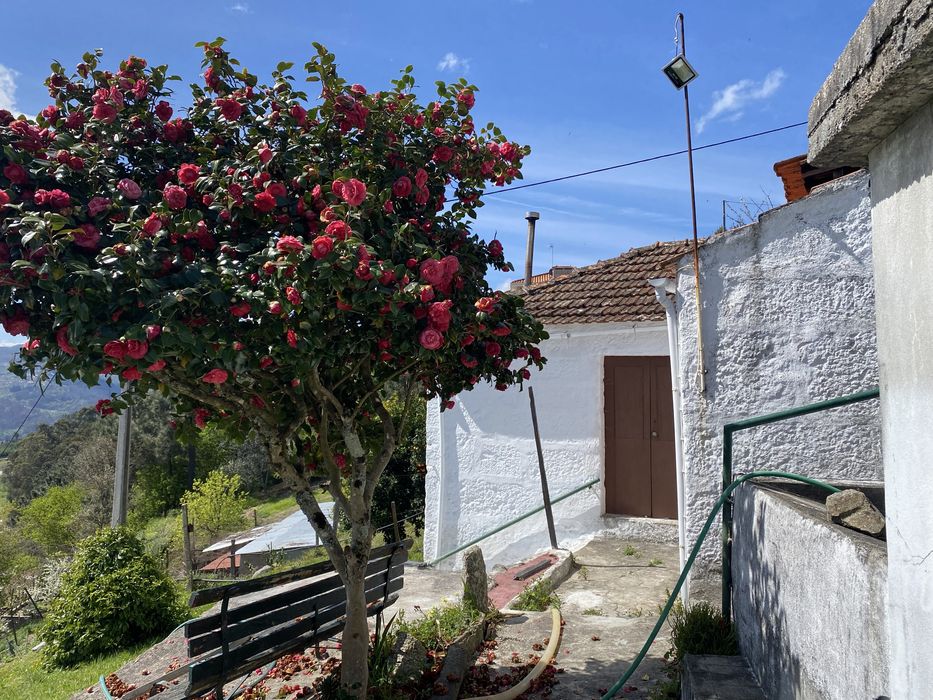 Moradia antiga em Baião