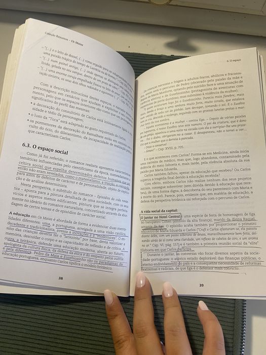 Livro de resumo os Mais de Eça de Queirós para a eacola