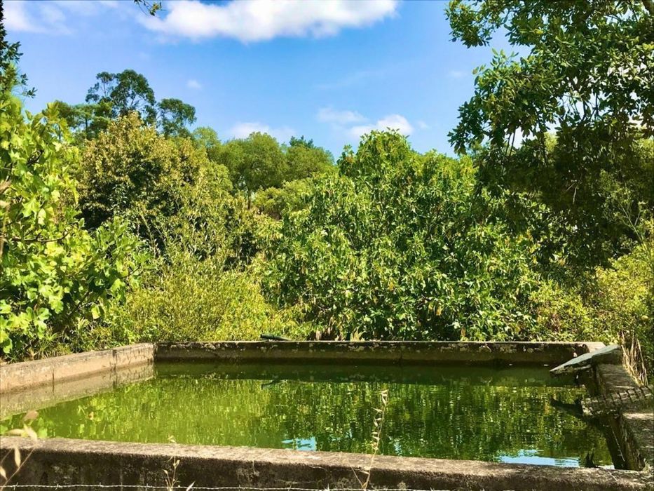 Quinta em Ponte sor