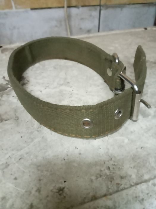 Ошейник собачий. Новый.