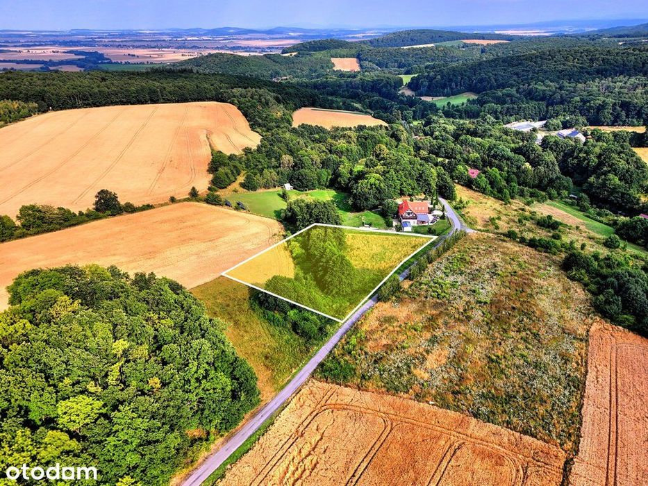 Myślinów | okolice Jawora