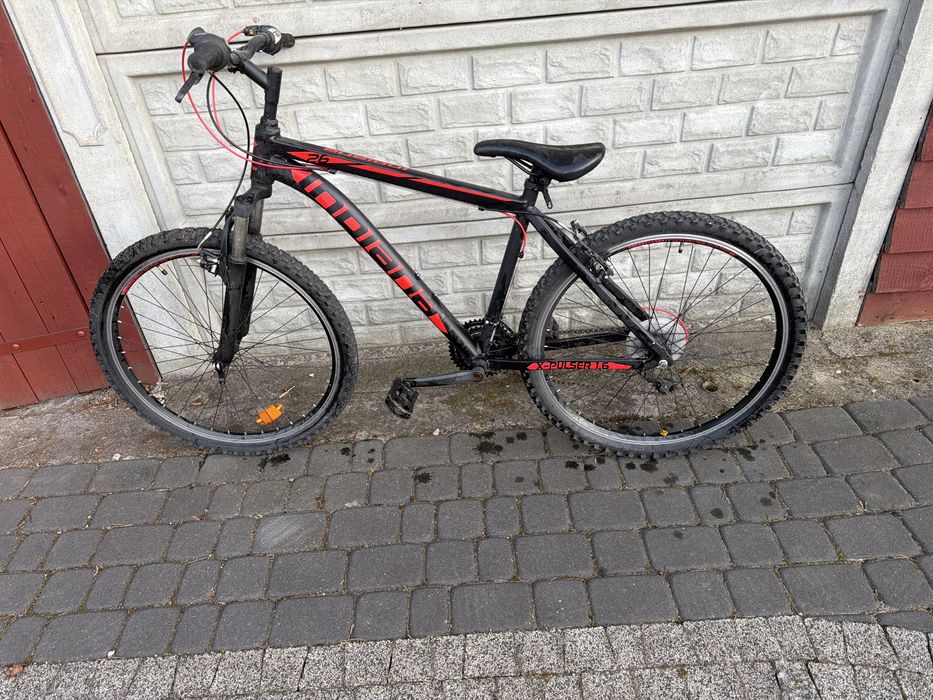 Rower górski Indiana