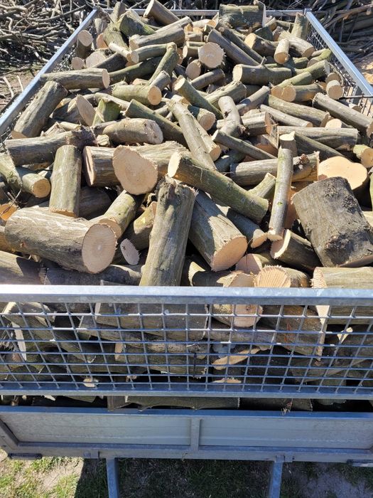 Drzewo opałowe, kominkowe liściaste Dąb, Grab