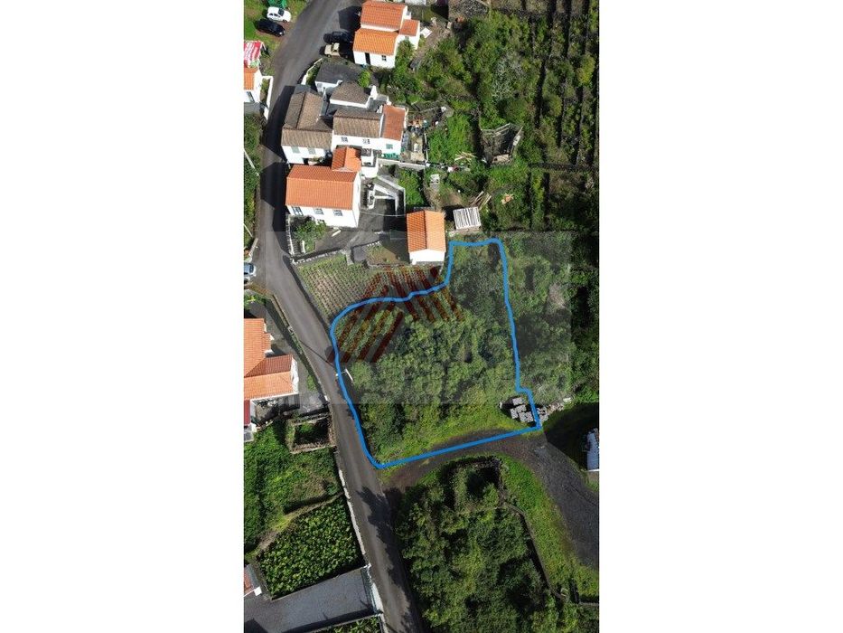 Terreno c/Viabilidade Construção, Candelária, Madalena Pico