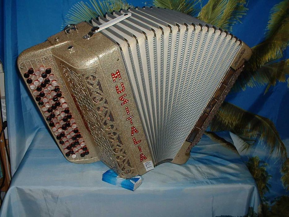 Promoção de Acordeões de concertinas
