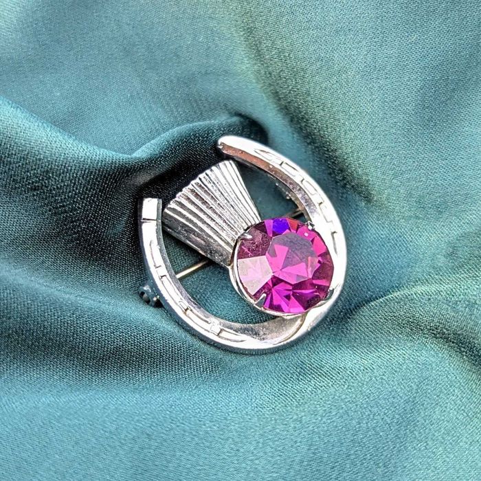 Вінтажна брошка-амулет "Підкова з чортополохом"