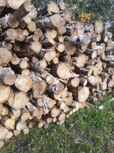 Drewno opałowe sosna świerk brzoza